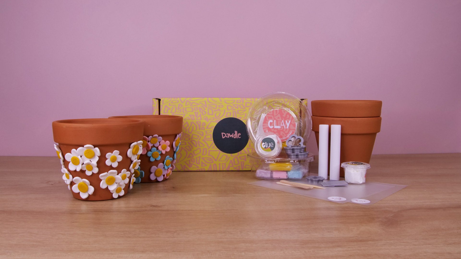 2 Terracotta Daisy Pots