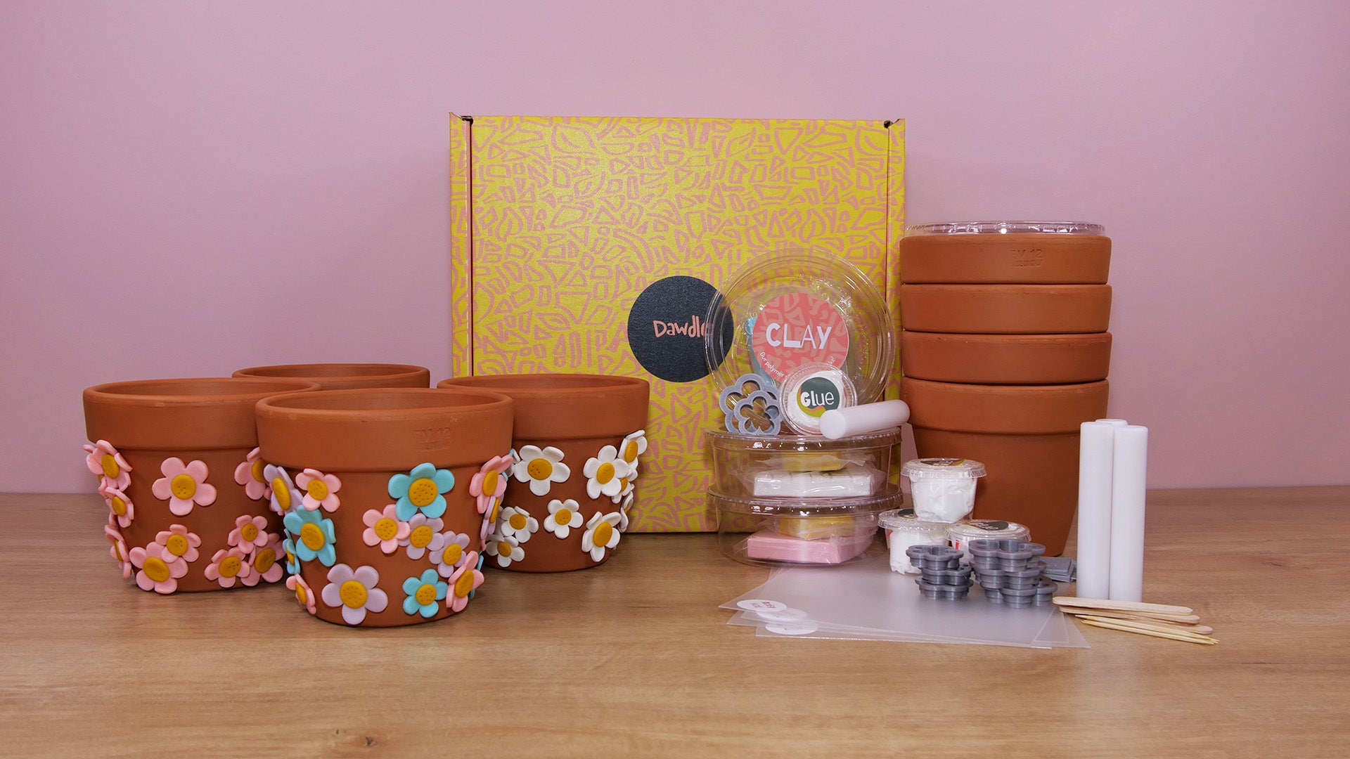 4 Terracotta Daisy Pots