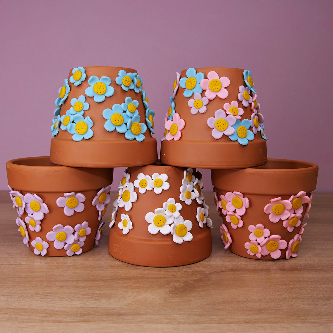 4 Terracotta Daisy Pots