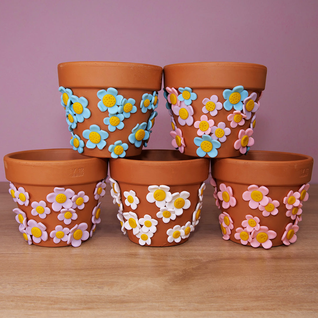 2 Terracotta Daisy Pots