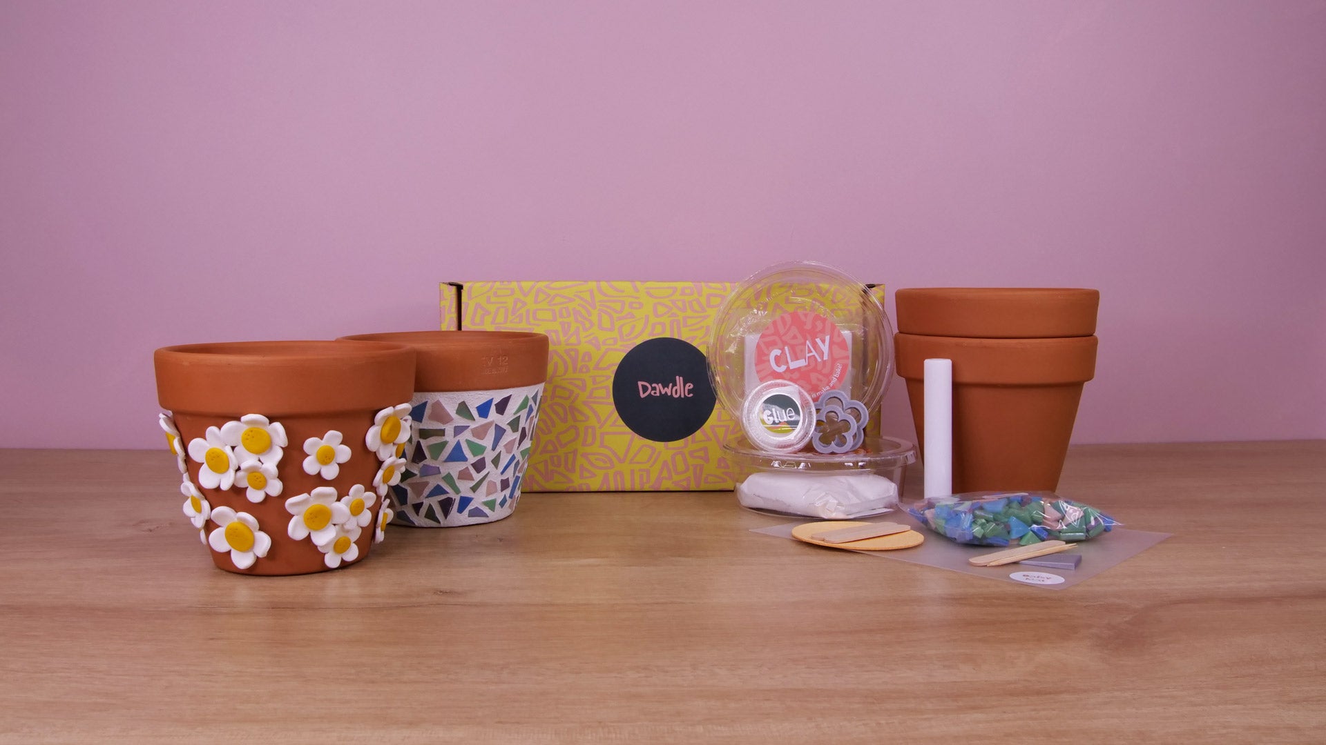 2 Terracotta Mixed Pots