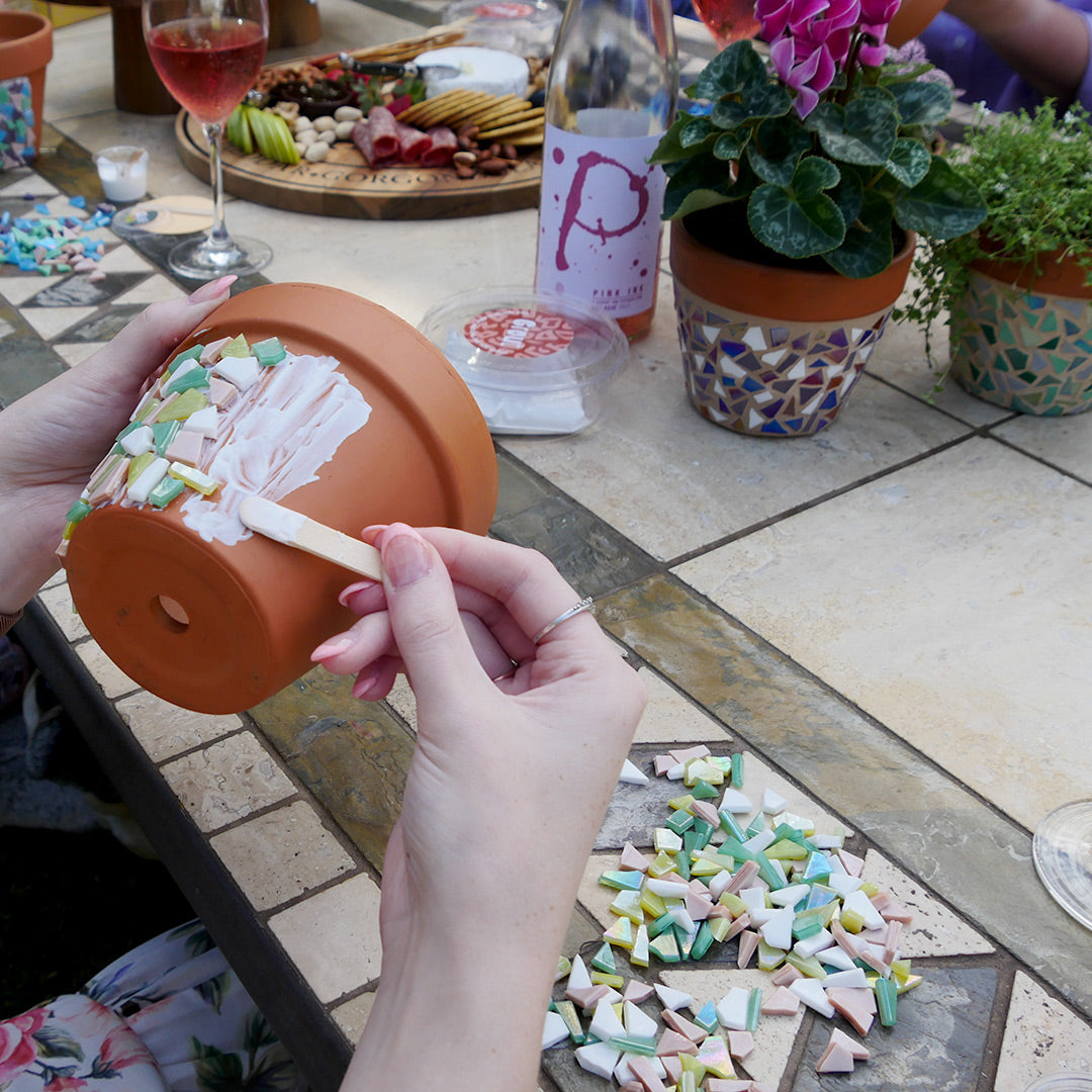 2 Terracotta Mixed Pots